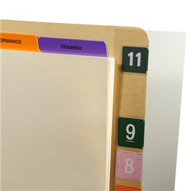 Folder Repair Strips 2" H x 8" L