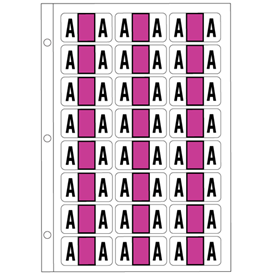 Alphabetic Color Coded Labels 2114 System 