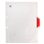 Advance Directive Divider (front)
