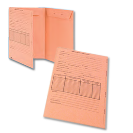Foreign Patent Application Folder, Salmon 