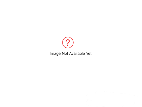Custom Tab Divider Set - 8 Titles